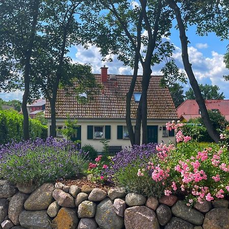 Ferienwohnung 1010 Mit Seeblick Ziemitz Eksteriør billede