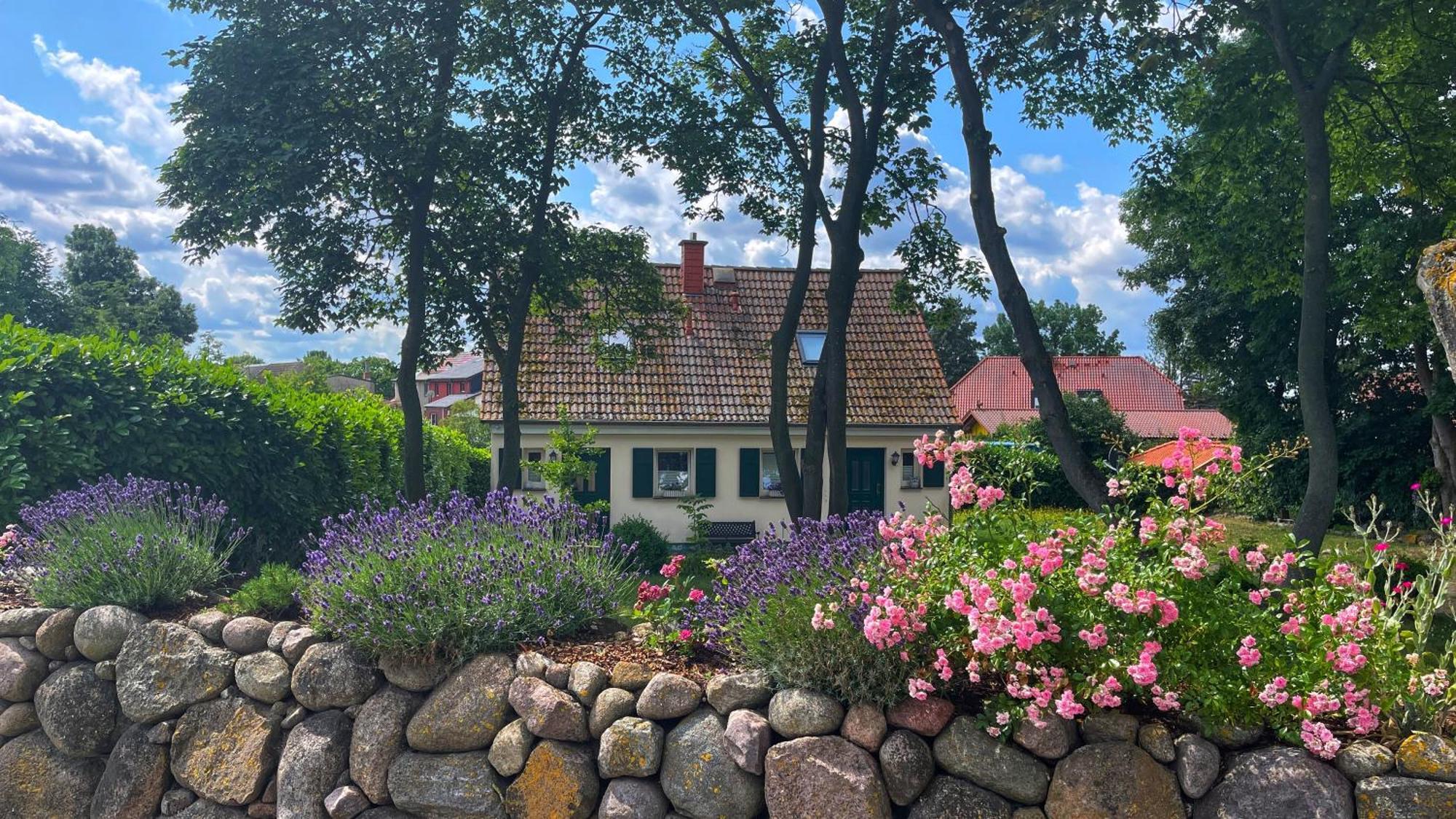 Ferienwohnung 1010 Mit Seeblick Ziemitz Eksteriør billede